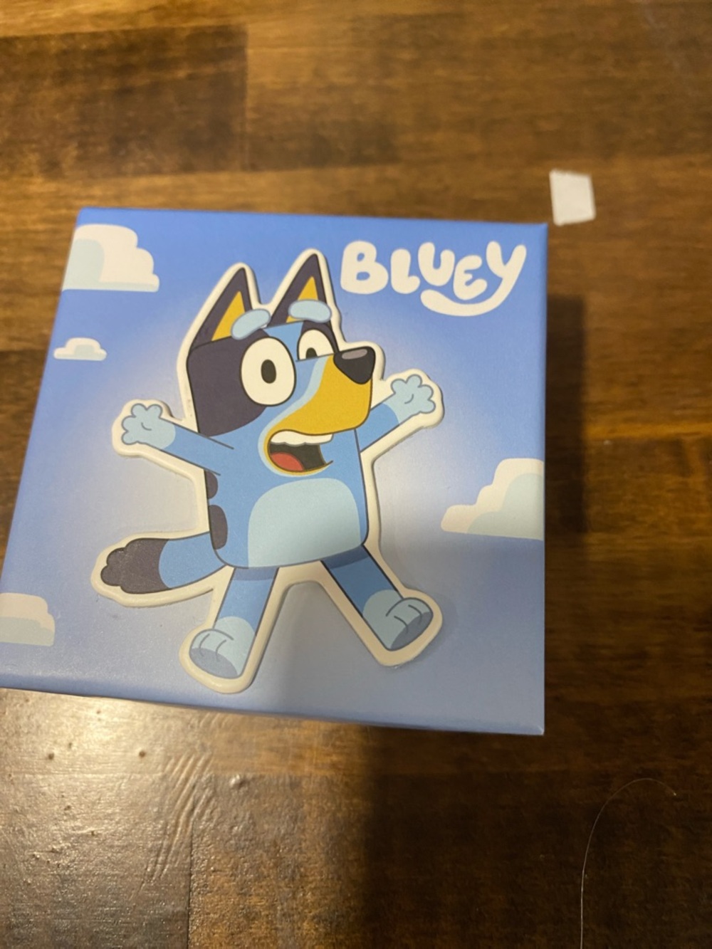 BBC Studios x Ludo Bluey Bracelet Box - Navy Blue